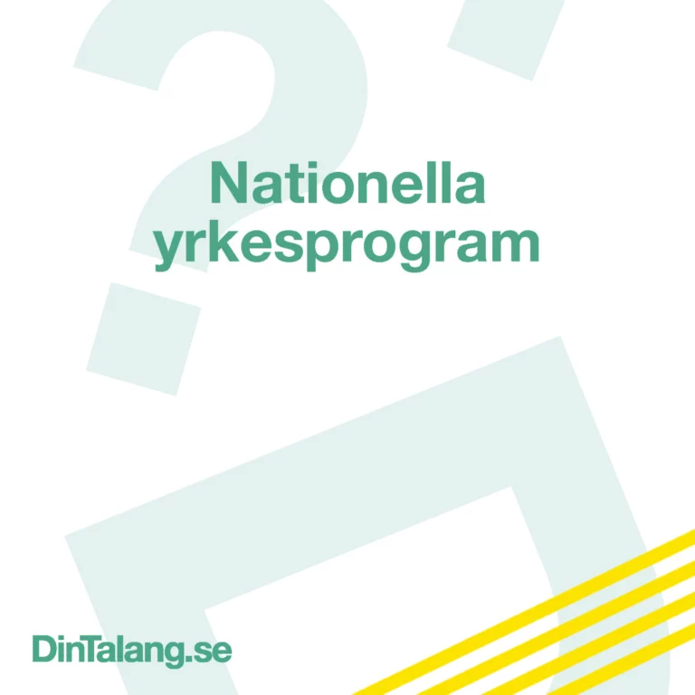 Information om de nationella yrkesprogrammen och deras framtidsmöjligheter